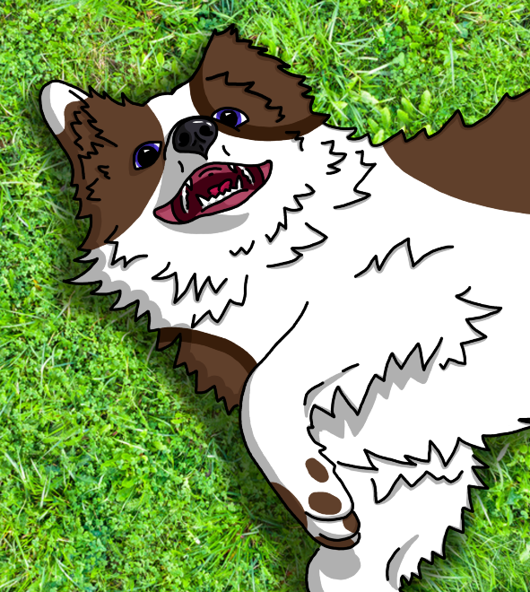 Reference Sheet Pack